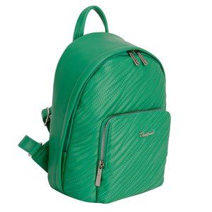 David Jones Paris small Backpack- Green